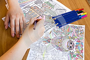 Adult colouring books with pencils, new stress relieving trend, mindfulness concept person coloring illustrative