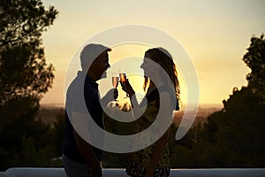 Adult couple making a toast on a rooftop at sunset, side view