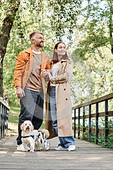 Adult couple walk dog on bridge