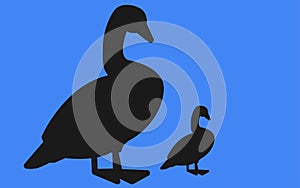 An adult duck and a duckling silhouette set against a blue backdrop
