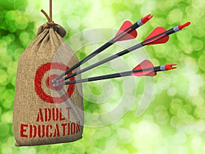 Adult Education - Arrows Hit in Red Target.