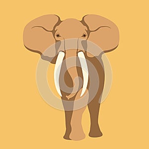 Adult elephant vector illustration