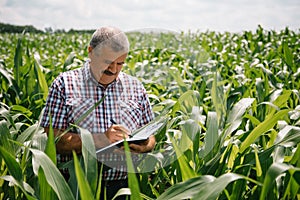 Adult farmer checking plants on his farm. agronomist holds tablet in the corn field and examining crops. Agribusiness