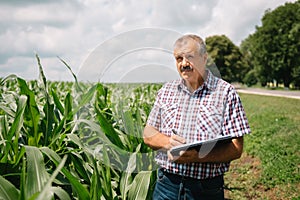 Adult farmer checking plants on his farm. agronomist holds tablet in the corn field and examining crops. Agribusiness