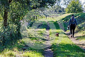 Adult female hiker walking with her brown dachshund with back to camera