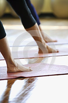 Adult females in yoga class.