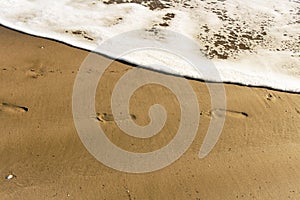 Adult foot prints by the ocean shore photo