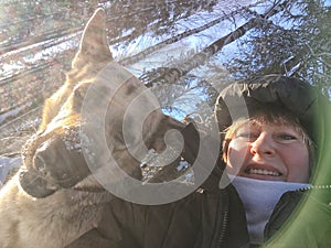 Adult girl with shepherd dog taking selfies in a winter forest. Middle aged woman and big shepherd dog on nature in cold