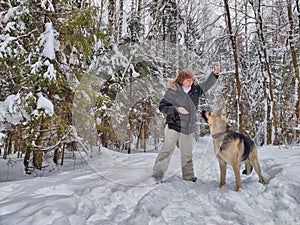 Adult girl, shepherd dog and training in a winter forest. Middle aged woman and big shepherd dog on nature in cold day