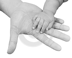 Adult hand holding a baby hand