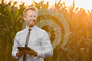 Adult, handsome, stylish, blonde, businessman holding a new tablet and standing in the middle of green and yellow corn field