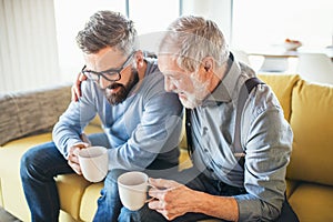 An adult hipster son and senior father sitting on sofa indoors at home, talking.