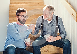 An adult hipster son and senior father sitting on stairs indoors at home, talking.