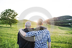 An adult hipster son with senior father standing in nature at sunset. Rear view.