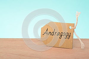 Adult Learning Theory or andragogy is the concept or study of how adults learn and how it differs from children. It aims to show