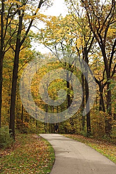 An adult make jogging on a paved path through a forest preserve with beautiful fall foliage in Kenosha, Wisconsin