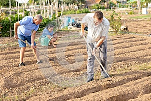 Man amateur gardener hoeing soil in vegetable bed in summertime