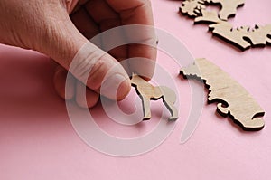 Adult Male collects a Wooden Puzzle on a pink background. Puzzle