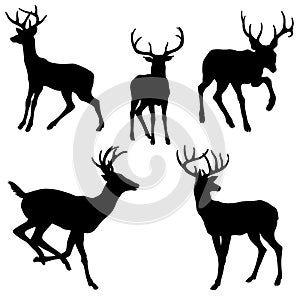 Adult male deer silhouette black set