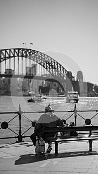 Adult male is pictured sitting on a bench in front of the iconic Sydney Harbour Bridge