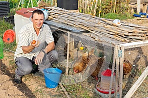 Adult man collecting chicken eggs in poultry house on smallholding