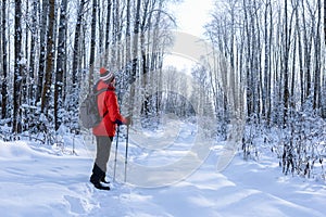 Adult man hiking in winter forest