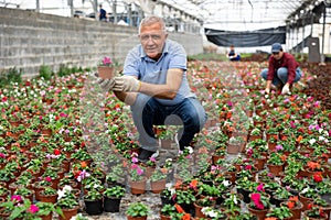 Adult man holding flower pot with impatiens waller