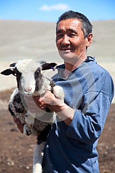 The adult man shepherd