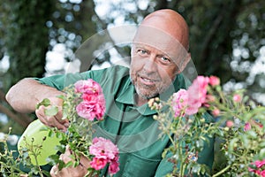 adult man spraying roses in garden to protect from diseases