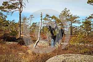 Adult man, strong male photographer carrying heavy backpacks, walking into the Norwegian forest for his next shoot.