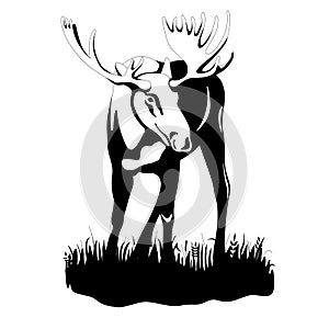 Adult moose black silhouette