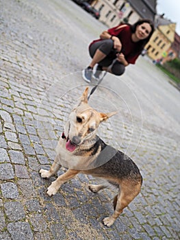 Adult nice woman walks the small dog in city square