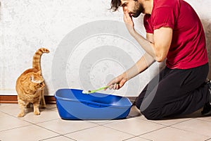 Adult person`s hand removing and cleaning cat litter box from clumps of cat urine and feces
