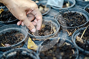 Adult`s hand is holding and proping up the sapling in blac plastic flowerpot