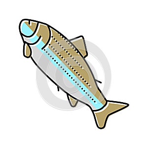 adult salmon color icon vector illustration