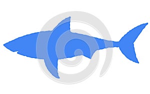 An adult shark blue outline shape silhouette against a white backdrop