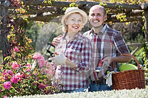 Adult smiling couple engaged in gardening