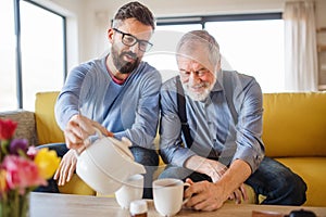 An adult son and senior father sitting on sofa indoors at home, drinking tea.