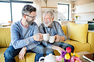 An adult son and senior father sitting on sofa indoors at home, drinking tea.