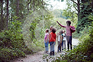 Adult Team Leaders With Group Of Children At Outdoor Activity Camp Walking Through Woodland