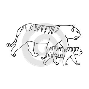 Adult tiger and tiger cub, mom and baby animals, educational materials in the form of a coloring page for children, vector outline