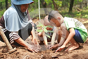 Adult woman gardener with small child planting tree seeds in garden