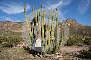 Adult woman picking her nose next to a large organ pipe cactus in Arizona