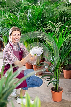 Adult woman seller with areca pot in plant store