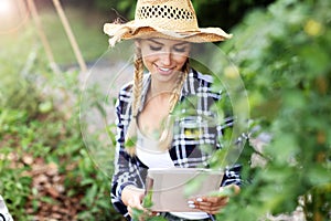 Adult woman with tablet examining plants