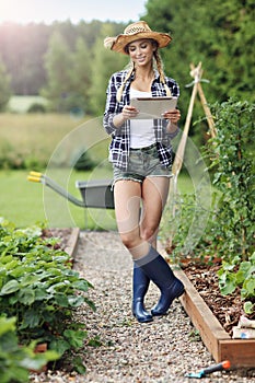 Adult woman with tablet examining plants