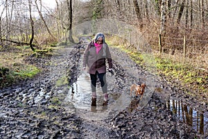 Adult woman walking with her brown dachshund dog on muddy path with puddles