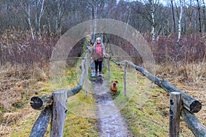 Adult woman walking with her dachshund on narrow trail between wooden fences