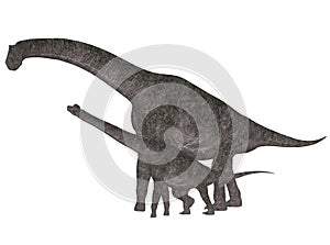 Adult and Young Brachiosaurus