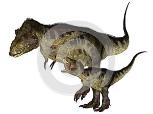 Adult and Young Tyrannosaurus